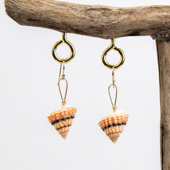Creamsicle Snail Earrings