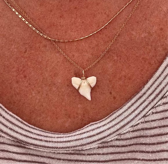 Wrapped White Shark Tooth Necklace