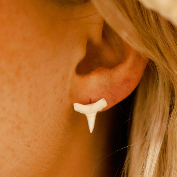 White Shark Tooth Studs – The Moonlit Shell - Main Image