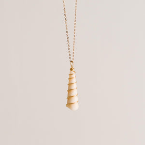 Costa Rican Screw Shell Necklace