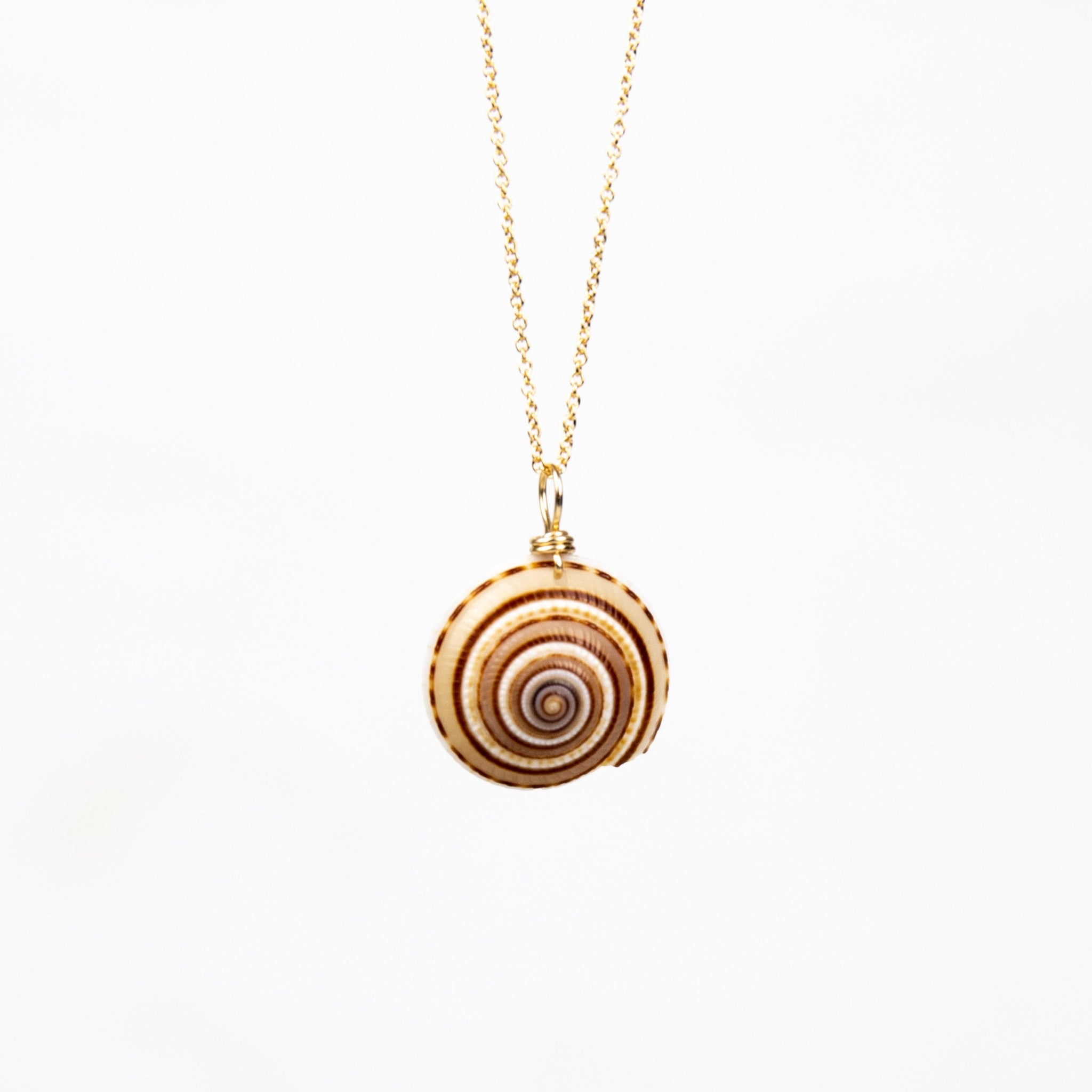 Loewe Gold Small Snail Shell Necklace Loewe