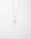 White Shark Tooth Necklace