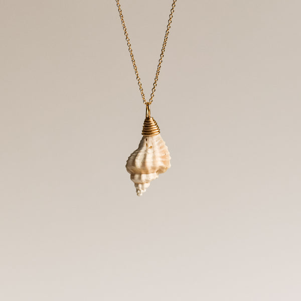 Sharp-rib Drill Shell Necklace – The Moonlit Shell